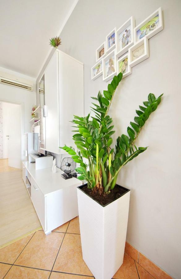 Apartment Paulin 扎达尔 外观 照片